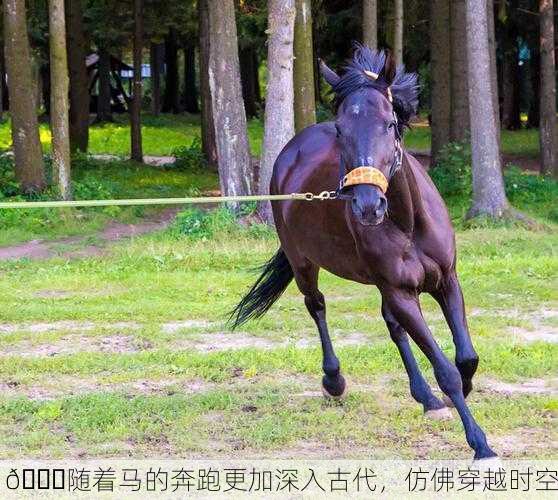 🏇随着马的奔跑更加深入古代，仿佛穿越时空