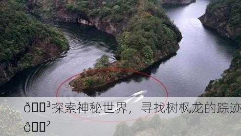 🌳探索神秘世界，寻找树枫龙的踪迹🐲