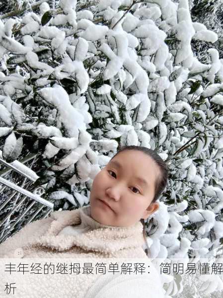 丰年经的继拇最简单解释：简明易懂解析