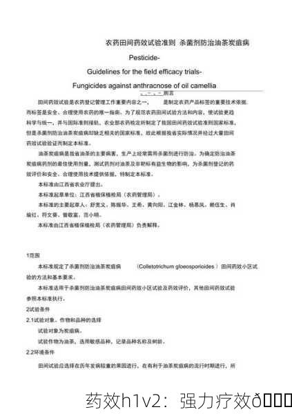 药效h1v2：强力疗效🌟
