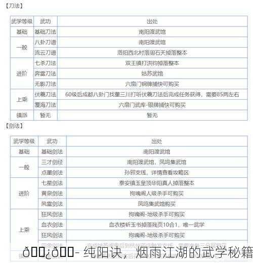 🌿💭 纯阳诀，烟雨江湖的武学秘籍