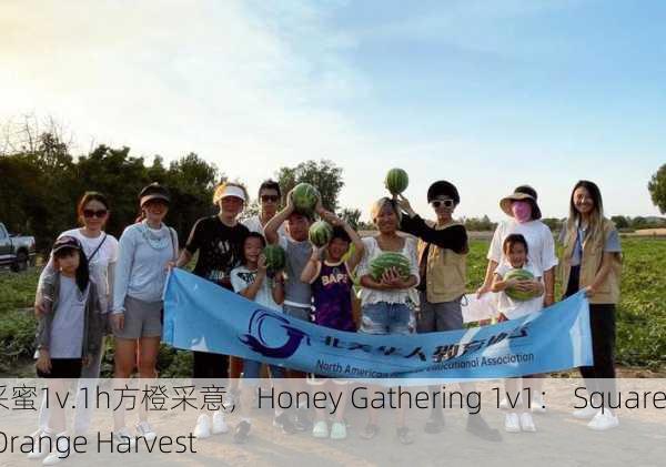 采蜜1v.1h方橙采意，Honey Gathering 1v1： Square Orange Harvest
