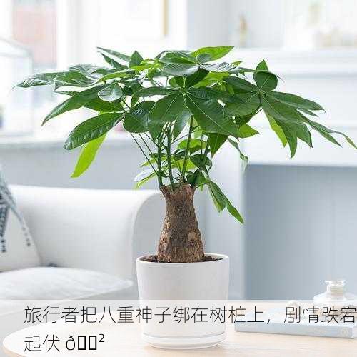 旅行者把八重神子绑在树桩上，剧情跌宕起伏 🌲