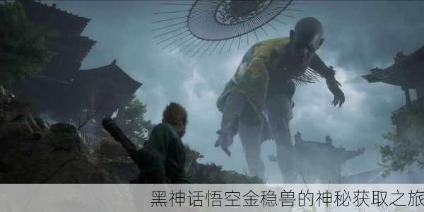 黑神话悟空金稳兽的神秘获取之旅