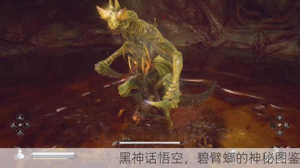 黑神话悟空，碧臂螂的神秘图鉴