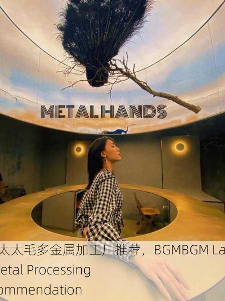 bgmbgm老太太毛多金属加工厂推荐，BGMBGM Lady's Multi-Metal Processing Factory Recommendation