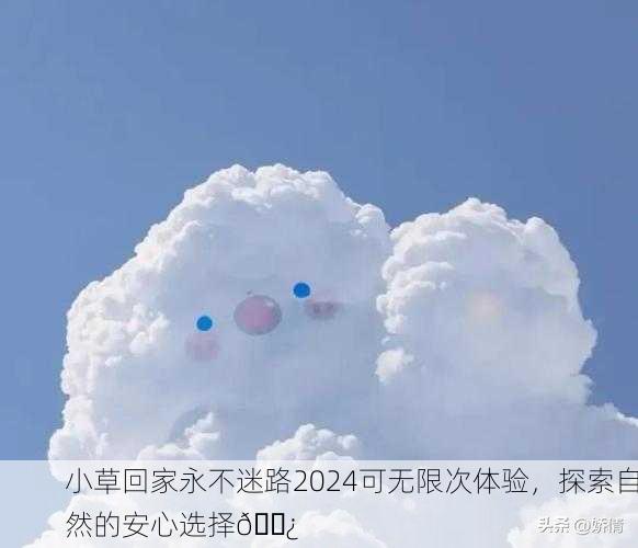小草回家永不迷路2024可无限次体验，探索自然的安心选择🌿