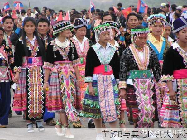 苗族B与其他区别大揭秘
