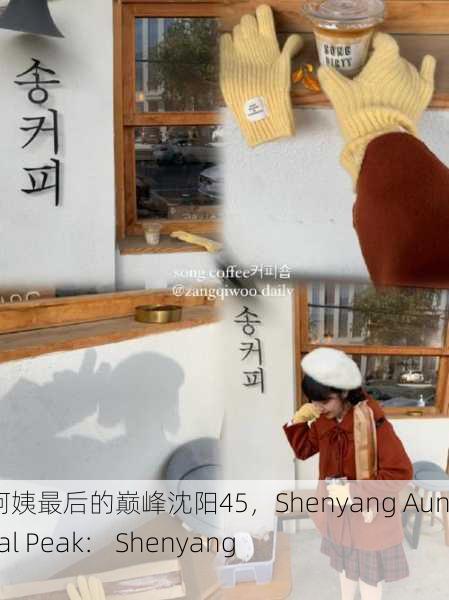 沈阳老阿姨最后的巅峰沈阳45，Shenyang Auntie's Final Peak： Shenyang 45