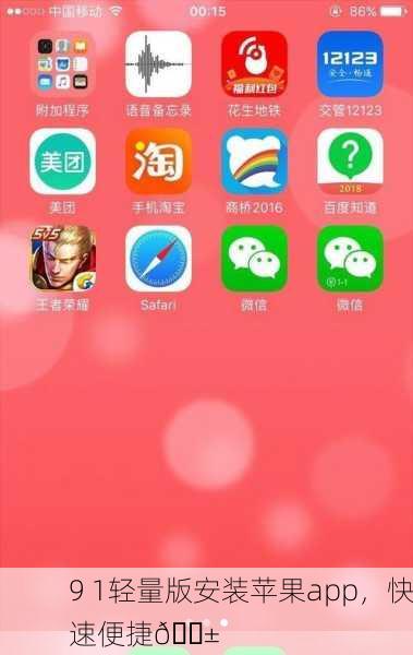 9 1轻量版安装苹果app，快速便捷📱