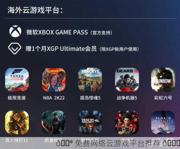 🎮 免费网络云游戏平台推荐 🎉