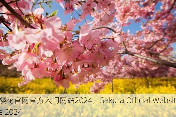 樱花官网官方入门网站2024，Sakura Official Website 2024