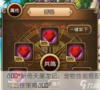 🎮新倚天屠龙记，宠物技能搭配与选择策略🐲