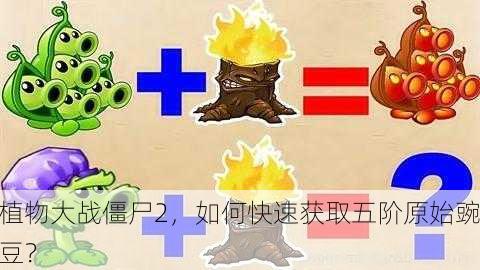 植物大战僵尸2，如何快速获取五阶原始豌豆？