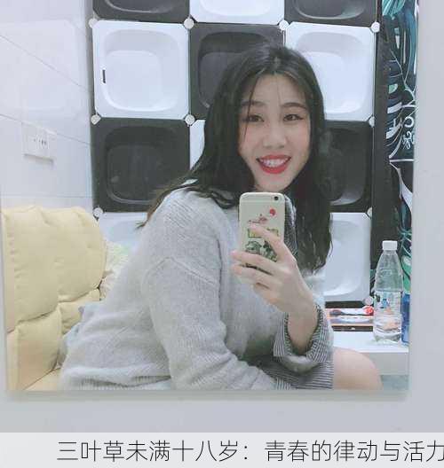 三叶草未满十八岁：青春的律动与活力