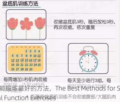性功能锻炼最好的方法，The Best Methods for Sexual Function Exercises