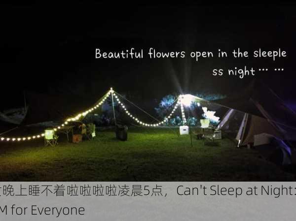 男女晚上睡不着啦啦啦啦凌晨5点，Can't Sleep at Night： 5 AM for Everyone