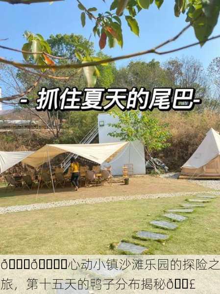 🌊🏖️心动小镇沙滩乐园的探险之旅，第十五天的鸭子分布揭秘🐣