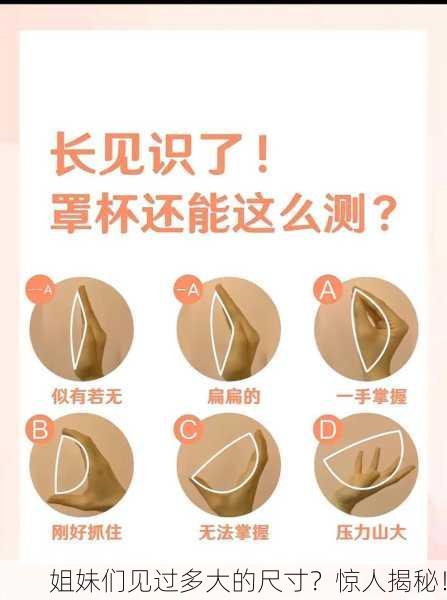 姐妹们见过多大的尺寸？惊人揭秘！
