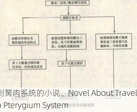 穿越到胬肉系统的小说，Novel About Traveling to Pterygium System