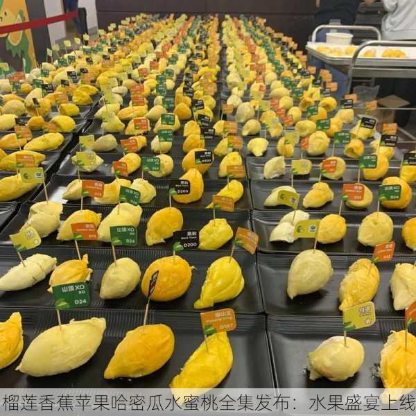 榴莲香蕉苹果哈密瓜水蜜桃全集发布：水果盛宴上线