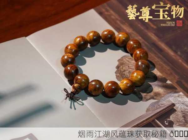 烟雨江湖风蕴珠获取秘籍 📜