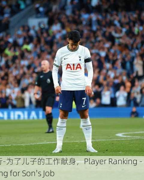 玩家排行-为了儿子的工作献身，Player Ranking - Sacrificing for Son's Job