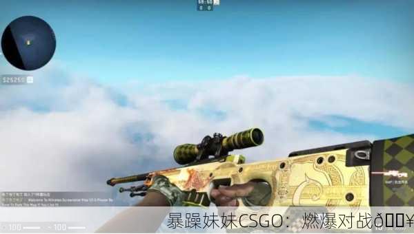 暴躁妹妹CSGO：燃爆对战🔥