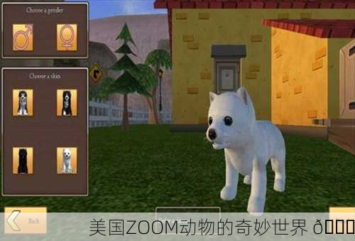 美国ZOOM动物的奇妙世界 🌟