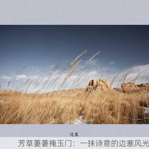 芳草萋萋掩玉门：一抹诗意的边塞风光