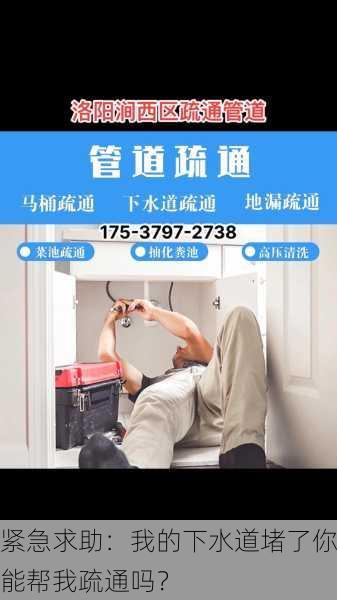 紧急求助：我的下水道堵了你能帮我疏通吗？