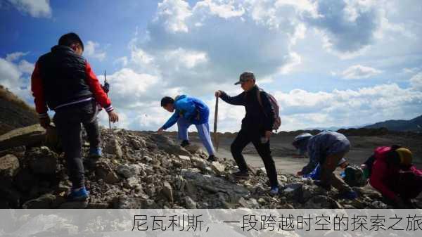 尼瓦利斯，一段跨越时空的探索之旅