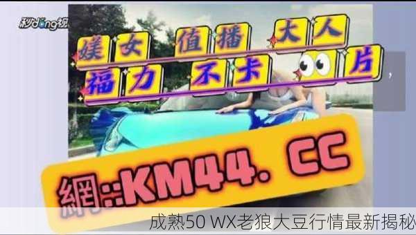 成熟50 WX老狼大豆行情最新揭秘
