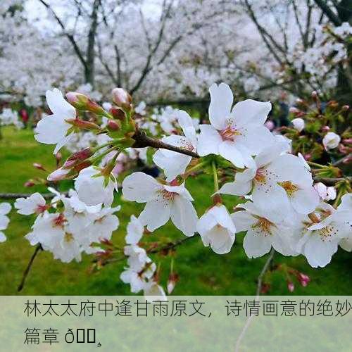 林太太府中逢甘雨原文，诗情画意的绝妙篇章 🌸