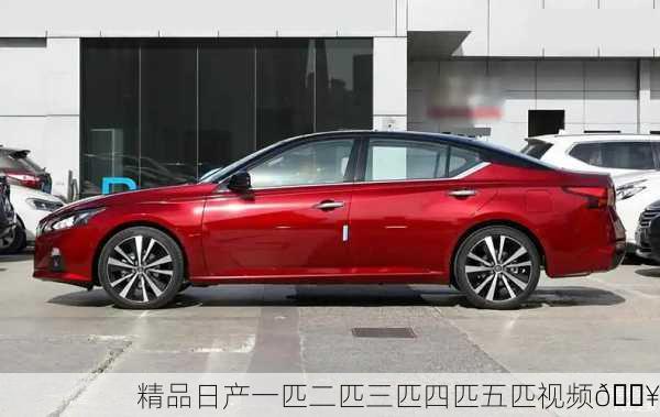 精品日产一匹二匹三匹四匹五匹视频🎥