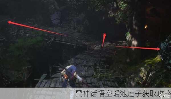 黑神话悟空瑶池莲子获取攻略