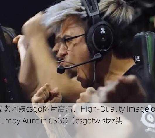 暴躁老阿姨csgo图片高清，High-Quality Image of Grumpy Aunt in CSGO（csgotwistzz头像）