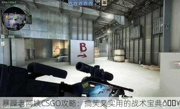 暴躁老阿姨CSGO攻略：搞笑又实用的战术宝典🔥