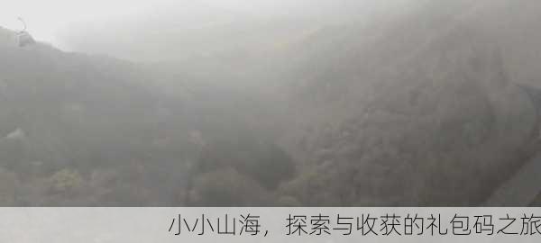 小小山海，探索与收获的礼包码之旅