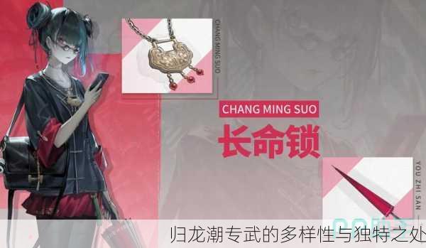归龙潮专武的多样性与独特之处