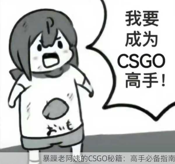 暴躁老阿姨的CSGO秘籍：高手必备指南