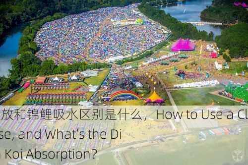 一夹一放怎么放和锦鲤吸水区别是什么，How to Use a Clip and Release, and What’s the Difference with Koi Absorption？