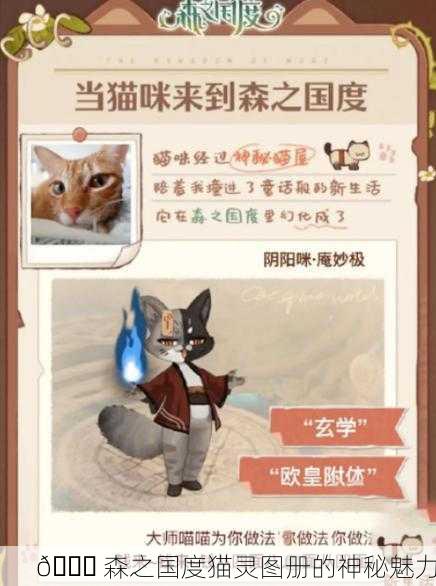 📚 森之国度猫灵图册的神秘魅力