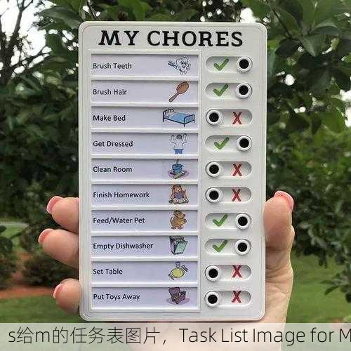 s给m的任务表图片，Task List Image for M