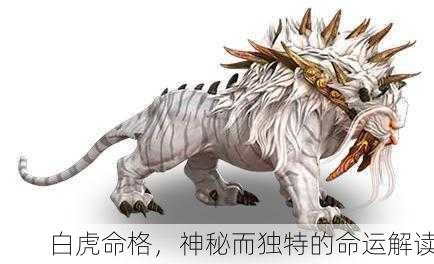 白虎命格，神秘而独特的命运解读