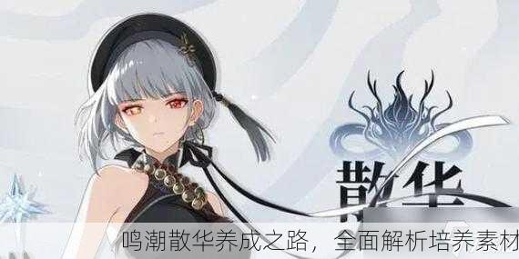 鸣潮散华养成之路，全面解析培养素材