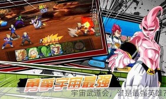 宇宙武道会，谁是最强英雄？