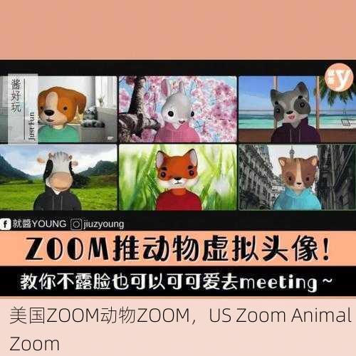 美国ZOOM动物ZOOM，US Zoom Animal Zoom