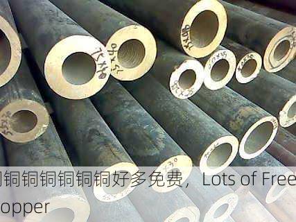 铜铜铜铜铜铜铜好多免费，Lots of Free Copper