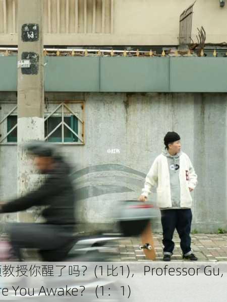 顾教授你醒了吗？(1比1)，Professor Gu, Are You Awake？ (1：1)